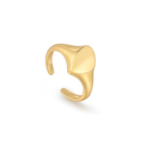Δαχτυλίδι Ania Haie Gold Arrow Twist Adjustable Signet Ring